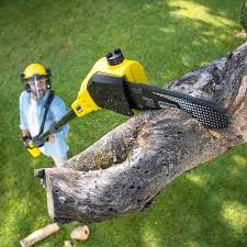 Best Commercial Tree Services  in Navarre, FL